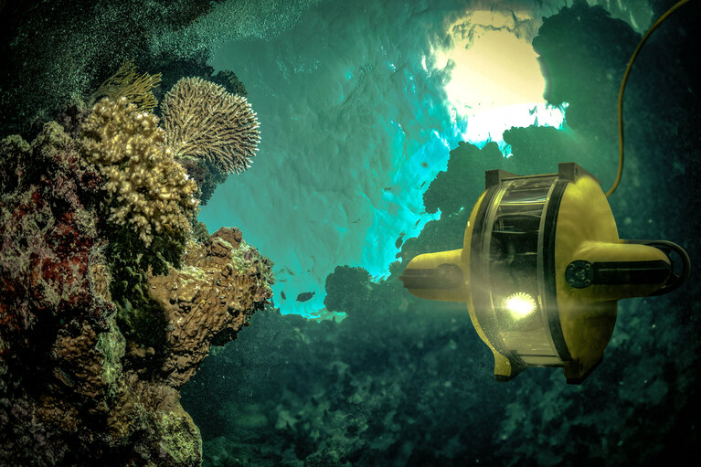 Go to the innovation page